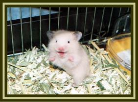 Говорят: бабки, бабки ... а попробуешь на зуб - бумага!