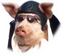 Ну, истинный ариец.