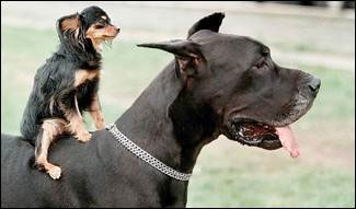 видишь, дорогой, - у людей то же самое ...