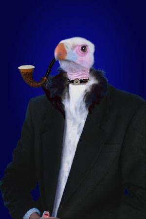 Граф Цыпкин!!!