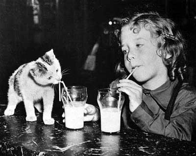 Кто быстрее выпьет. Приз - банка сгущёнки...!