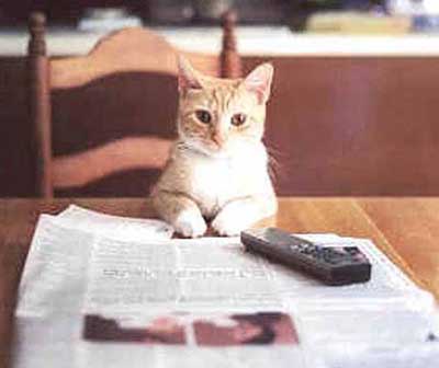 Какой вопрос?