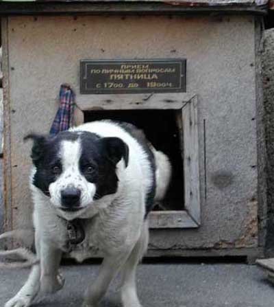 По безналичным к Робинзону.