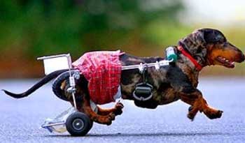 Хозяин - ДОБРЫЙ ЧЕЛОВЕК !!!