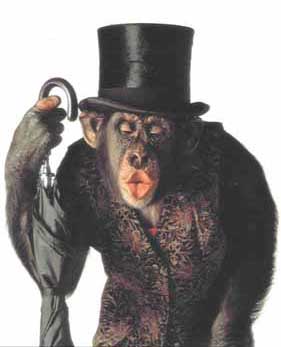 жду свою судьбу!