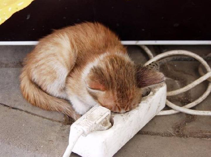 Чубайс вернулся на старую работу!