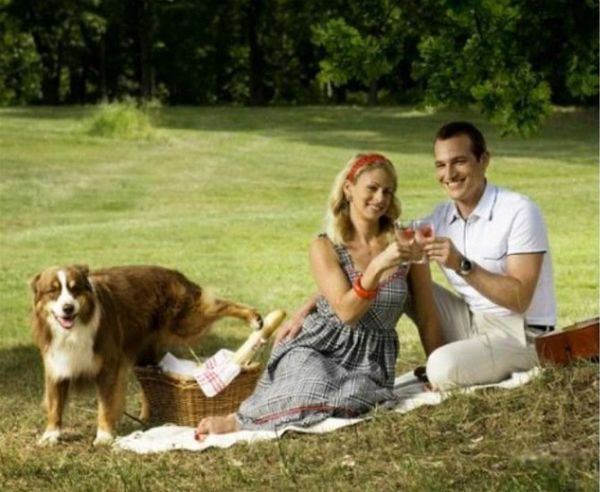 Что вино вкуснее было...!!!