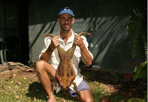 фото-жаба или жаба-фото