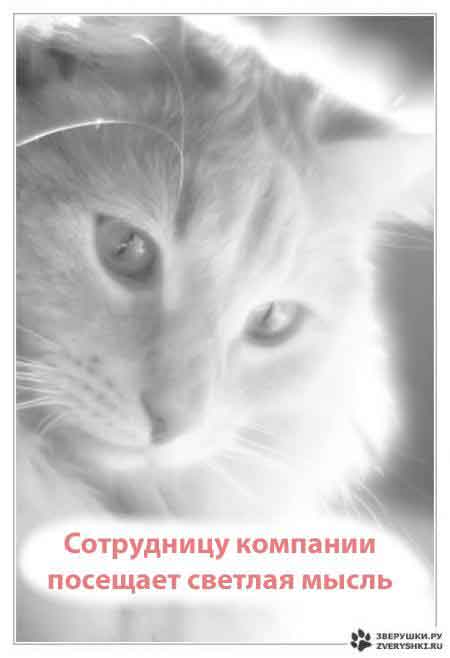 "А не завести ли мне Наташу?"