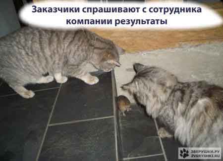 Ну, и как будем делить?