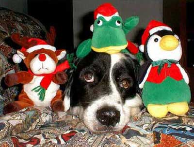 впал в детство