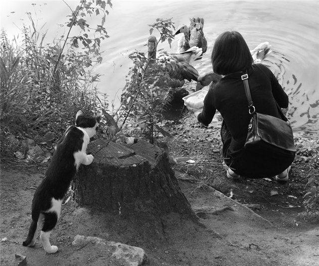 Машенька, клади и отходи!