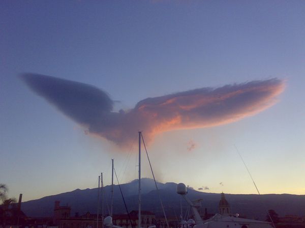 Так вот ты какой, голубь мира!