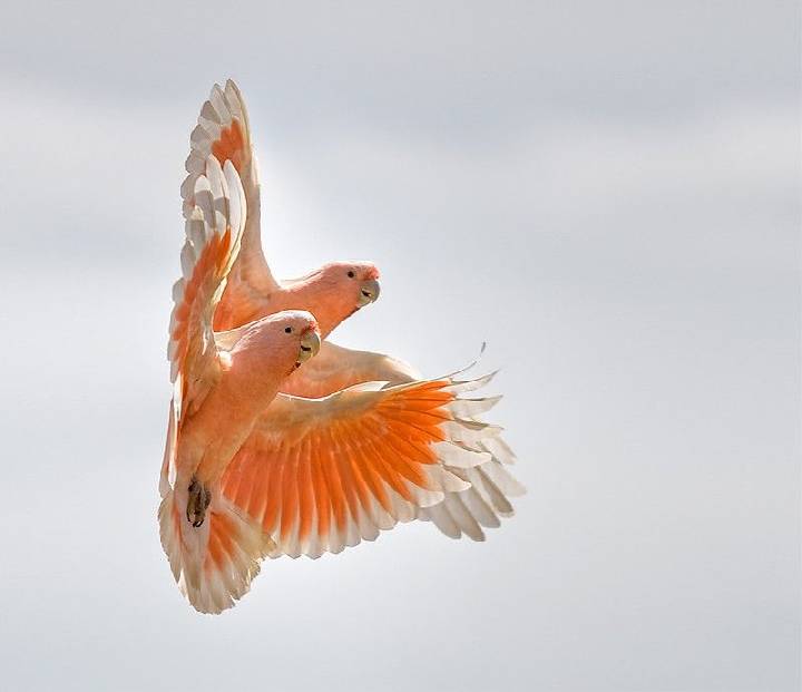 по пути на седьмое небо...