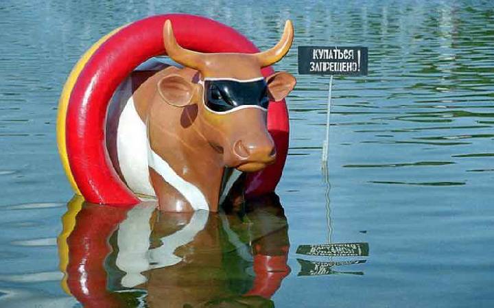 От надувной коровы, до надувгой женщины недалеко...