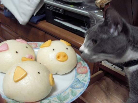 я есть хочу