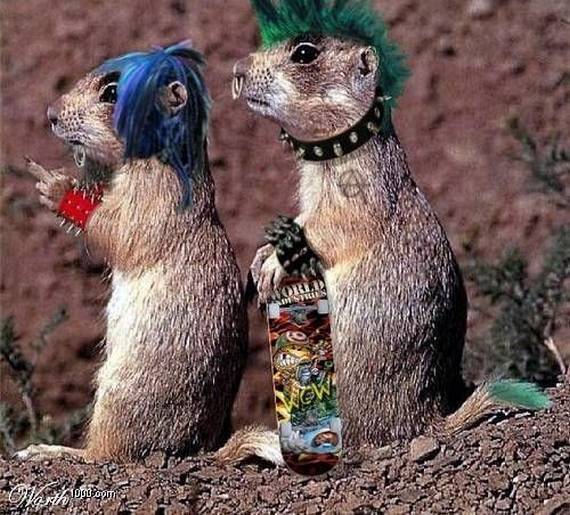 Фотожоп, но не хиппи...