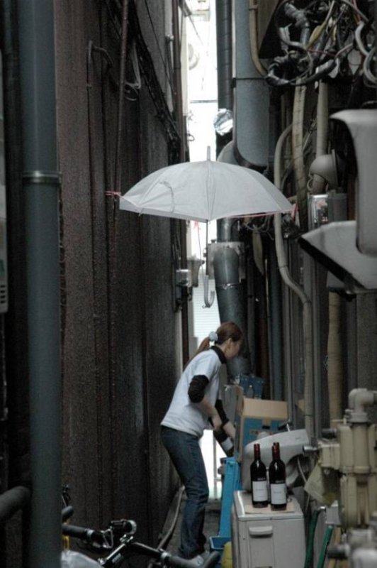 только тсс-с - мы за этот дворик аренду не платим!