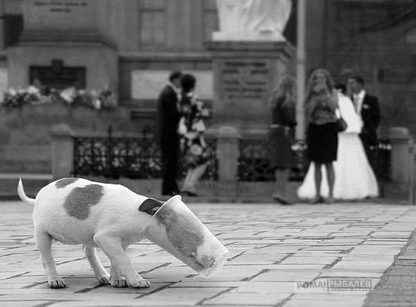 в предчувствии коронавируса