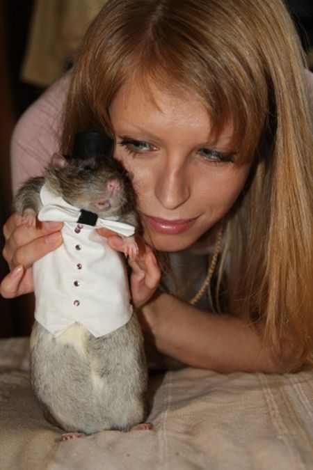 ...глупый маленький мышонок отвечает ей спросонок...