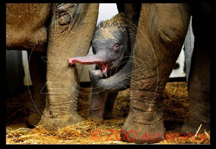 А я на всех...!!!