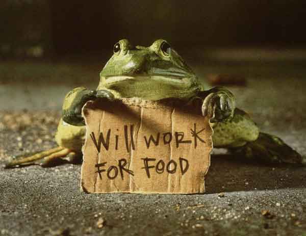 Царевич не знал продолжения: ... после того, как выйду замуж