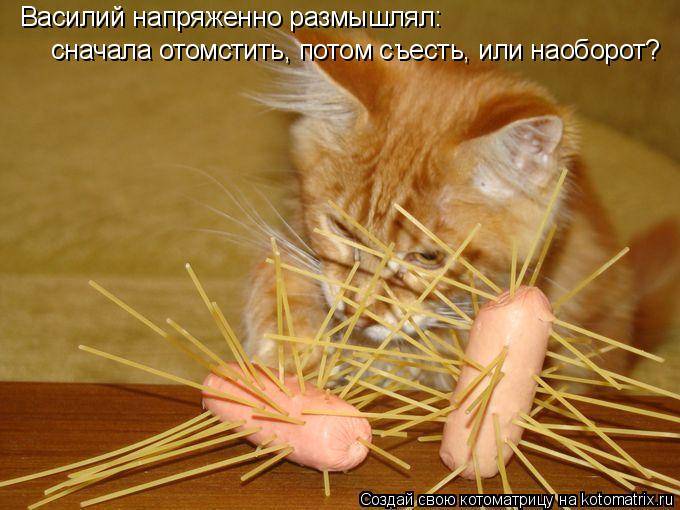 хозяин сволоч