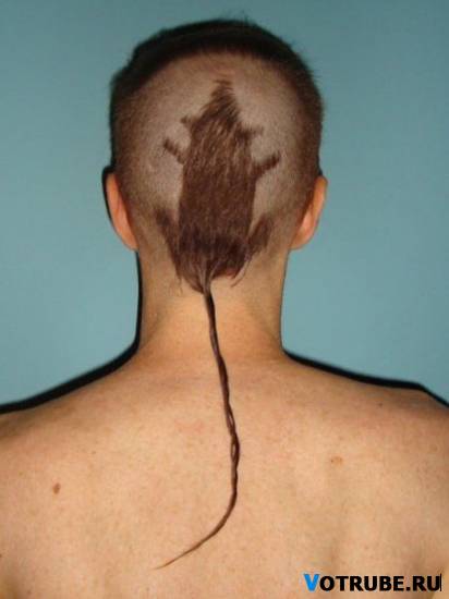 Он попался на крысятничестве.