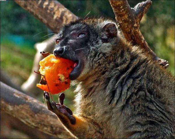 ты не ты когда голоден