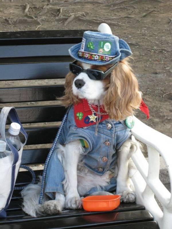 Ну,ребятки! Чё пристали?Моё имя Гламурия!