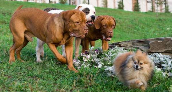 Какой пацанчик? Ccук@ я стопроцентная...!!!