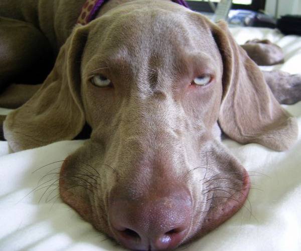 Вот так! А что-ты хотел? Бросил меня...ради этой ...!