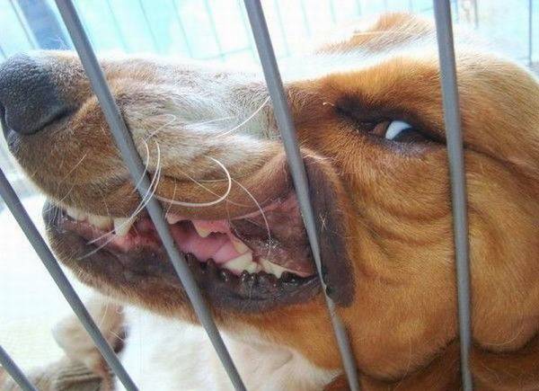 Да нет,я ничего! Только маленько погладь меня!