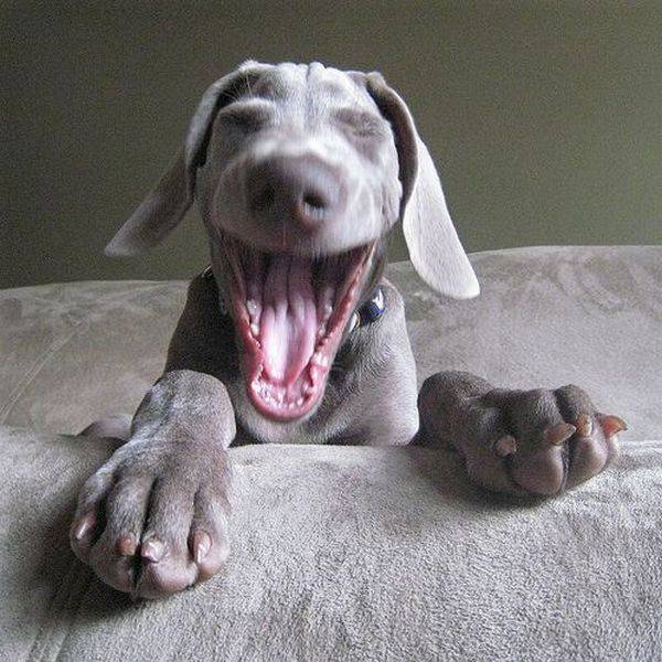 Бааа! Какие люди!!!