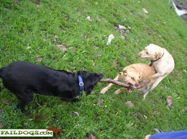 не расслабляйся! А то вые***т!