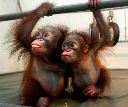 на раз два взяли...