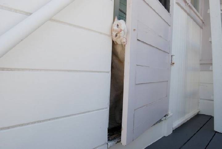 и как меня угораздило...