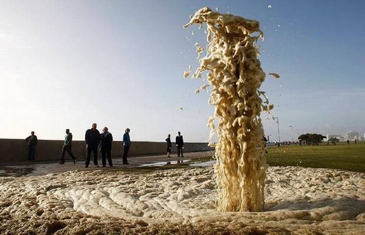 гайа-орг@зм