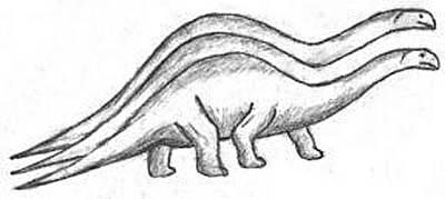 двухголовый троехвост