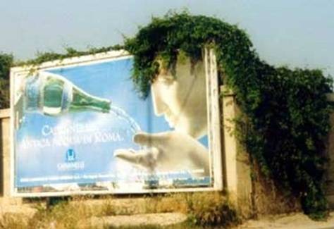 не дай себе засохнуть