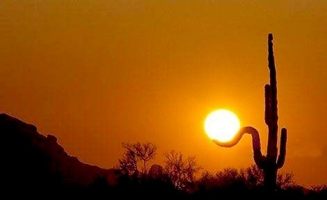 я подарю тебе закат