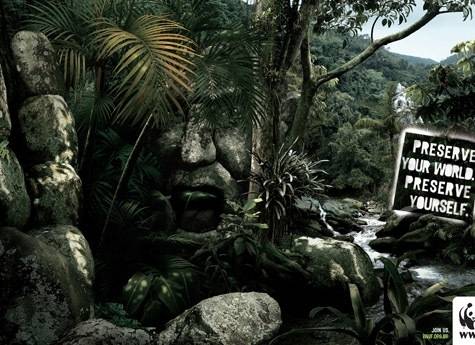 оптические иллюзии